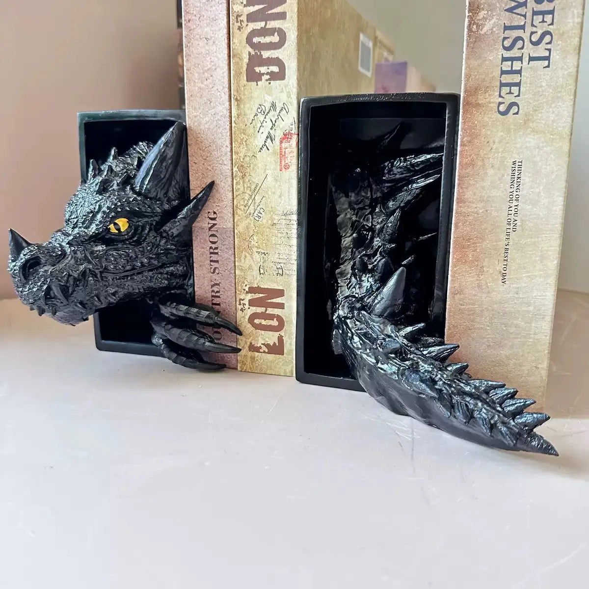 Dragon Book Nook MISS IRON