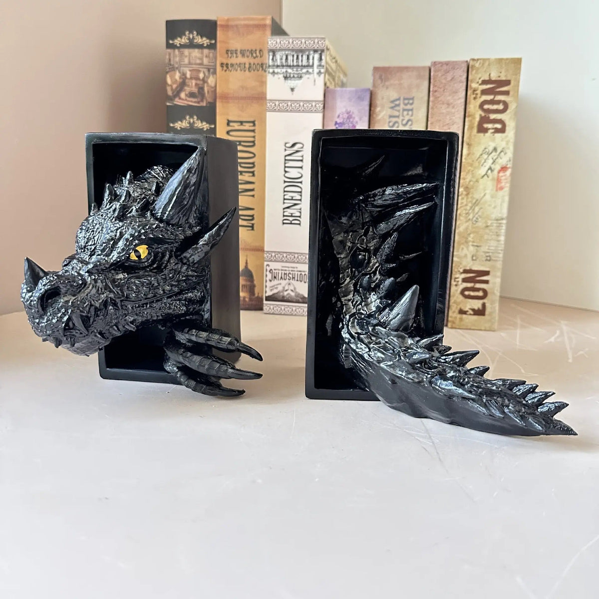Dragon Book Nook MISS IRON
