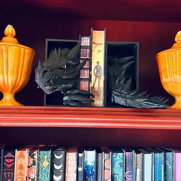 Dragon Book Nook MISS IRON